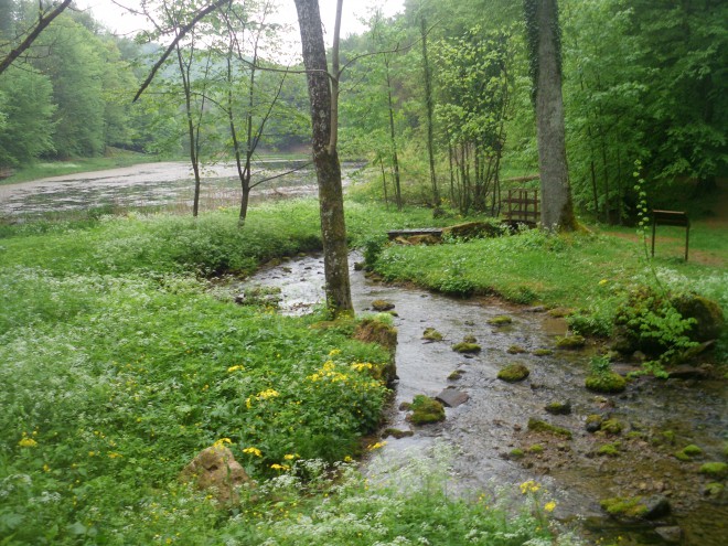 Naravni+park+Papuk+je+poln+%C4%8Darobnih+koti%C4%8Dkov