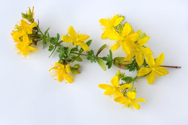 %28Foto%3A+Profimedia%29