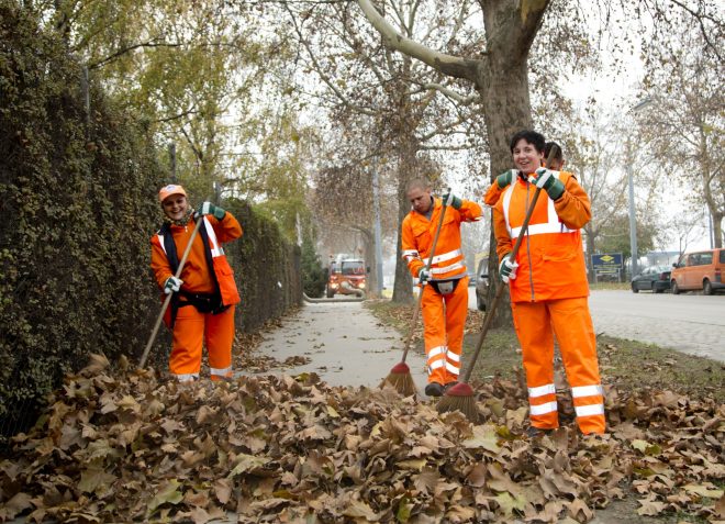 Zaposleni+pri+MA+48+grabijo+jesensko+listje+%C2%A9+Felicitas+Matern