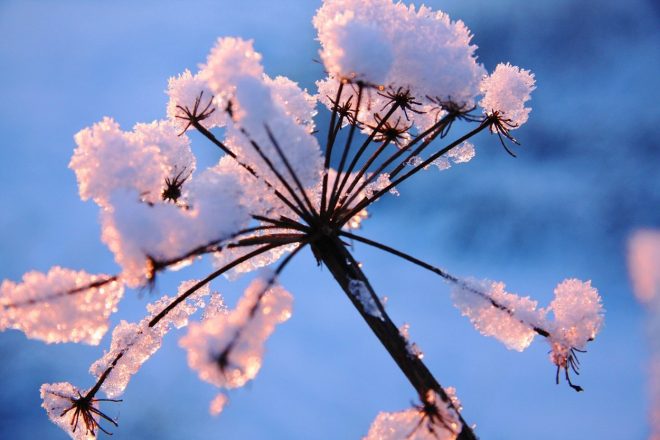 Romanin+tedenski+horoskop+za+%C5%BDenska.si+od+13.+2.+do+19.+2.+2023+%28Foto%3A+Profimedia%29