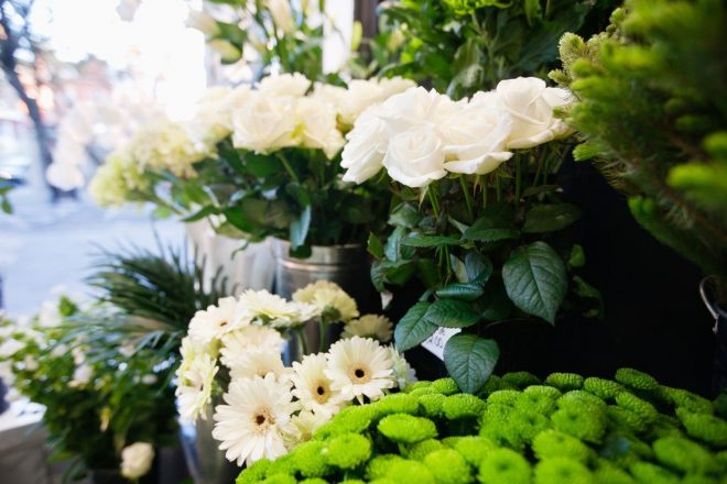 Sve%C5%BEe+ro%C5%BEe+pomagajo+kot+dodatna+terapija+za+hitrej%C5%A1e+okrevanje+pacientov+%28Foto%3A++Profimedia%29