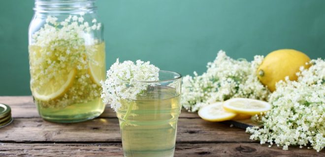 Gin z bezgom