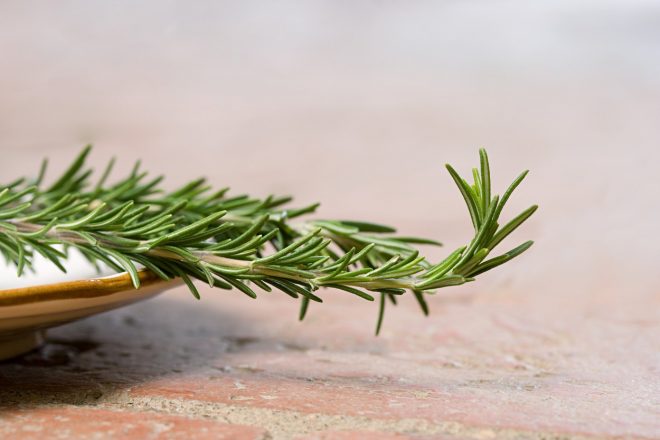 Zakaj+je+ro%C5%BEmarin+tako+zdrav%3F+%28Foto%3A+Profimedia%29