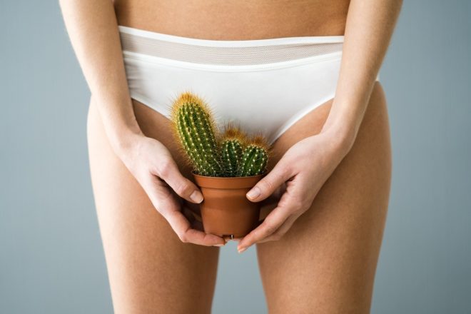 Kako+se+izogniti+vra%C5%A1%C4%8Denim+dlakam%3F+%28Foto%3A+Profimedia%29