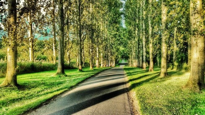 Romanin+tedenski+horoskop+od+9.+9.+do+15.+9.+2019+%28Foto%3A+Profimedia%29