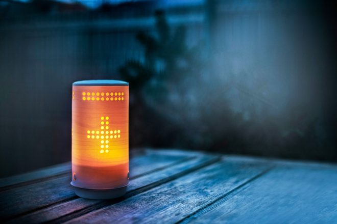 Slovenska+sve%C4%8Da+Evergreen%2C+ki+jo+lahko+zavr%C5%BEemo+na+kompost+%28Foto%3A+EverGreen%29