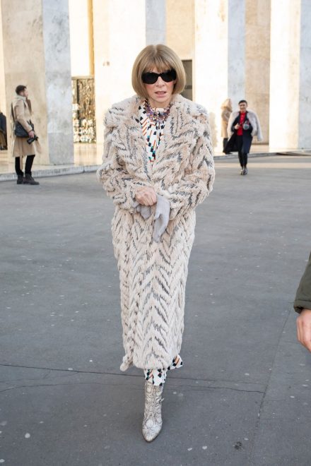 Anna+Wintour+%28Foto%3A+Profimedia%29