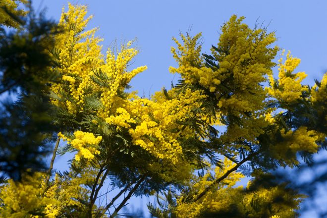 Romanin+tedenski+horoskop+za+%C5%BDenska.si+od+24.+2.+do+1.+3.+2020+%28Foto%3AProfimedia%29