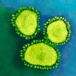 koronavirus biološko orožje