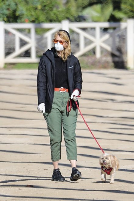 Igralka+Laura+Dern+na+sprehodu+s+ku%C5%BEkom+za%C5%A1%C4%8Ditena+z+masko+%28Foto%3A+Profimedia%29