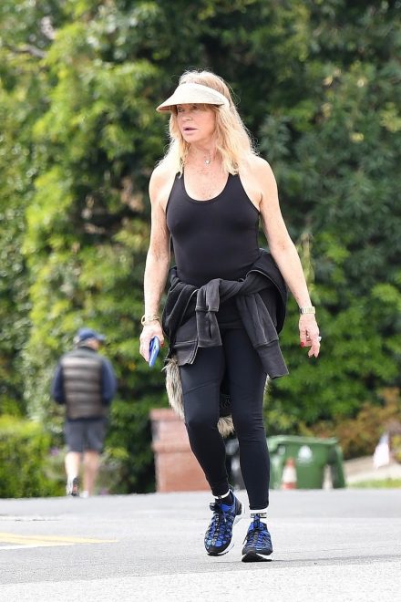Goldie+Hawn+na+sprehodu+v+Brentwoodu+%28Foto%3A+Profimedia%29