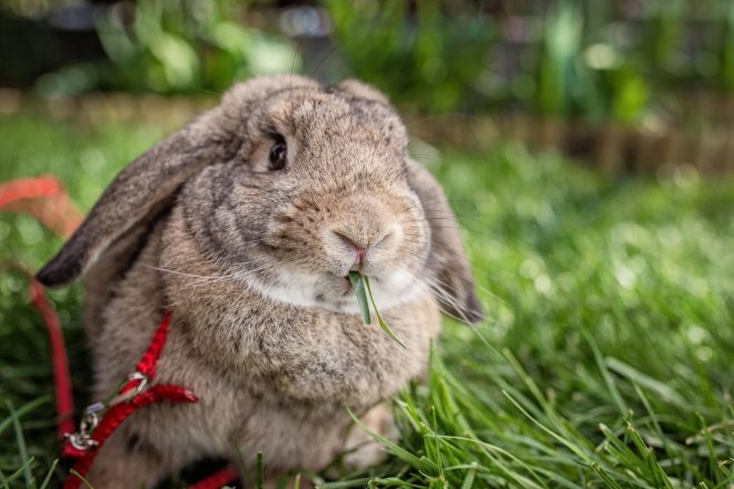 TEDENSKI+HOROSKOP+OD+13.+4.+DO+19.+4.+2020+%28Foto%3A+Profimedia%29