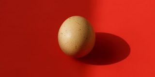 rdeč madež v jajcu