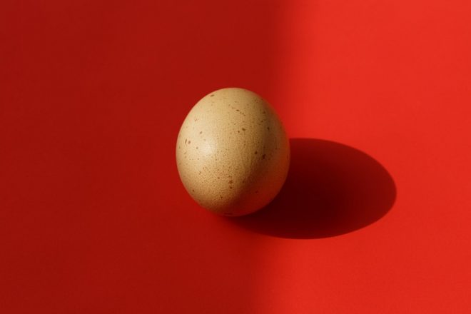 Vsi+smo+%C5%BEe+kdaj+na%C5%A1li+rde%C4%8D+made%C5%BE+v+jajcu+%28Foto%3A+Profimedia%29