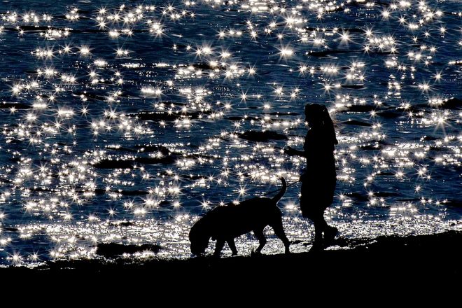 Romanin+tedenski+horoskop+za+%C5%BDenska.si+od+4.+5.+do+10.+5.+2020+%28Foto%3A+Profimedia%29