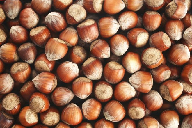 Le%C5%A1niki+imajo+%C5%A1tevilne+pozitivne+lastnosti+%28Foto%3A+Profimedia%29