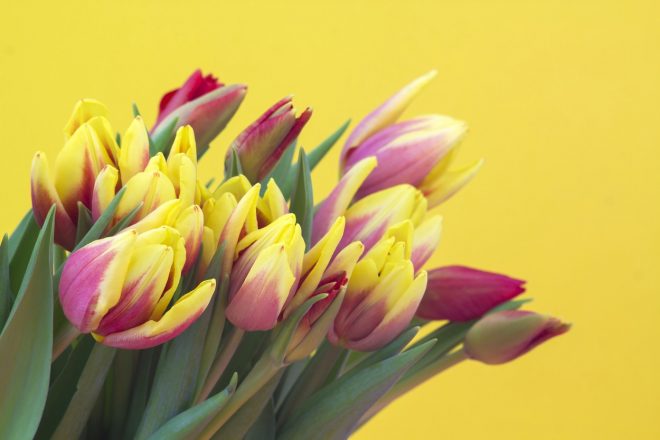 Romanin+mese%C4%8Dni+horoskop+za+marec+2021+%28Foto%3A+Profimedia%29