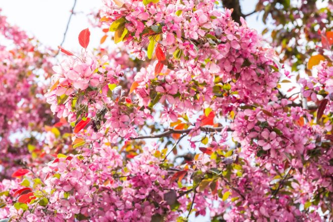 Romanin+mese%C4%8Dni+horoskop+za+april+2021+%28Foto%3A+Profimedia%29