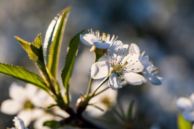 Romanin+tedenski+horoskop+za+%C5%BDenska.si+od+24.+5.+do+30.+5.+2021+%28Foto%3A+Profimedia%29