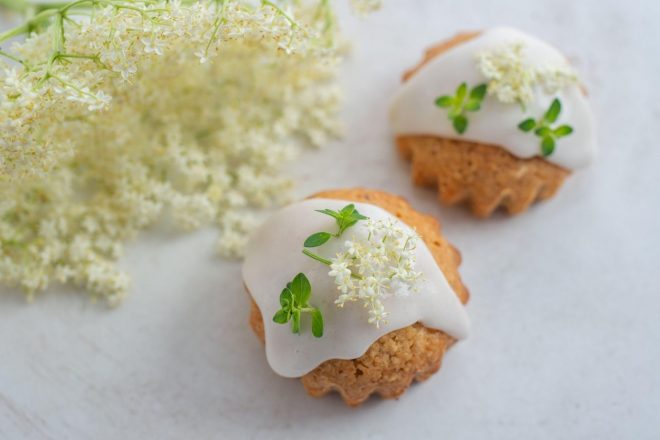 Kaj+niso+lepi%2C+ti+cupcakes+z+bezgom%3F+Pa+dobri+tudi%21+%28Foto%3A+Profimedia%29