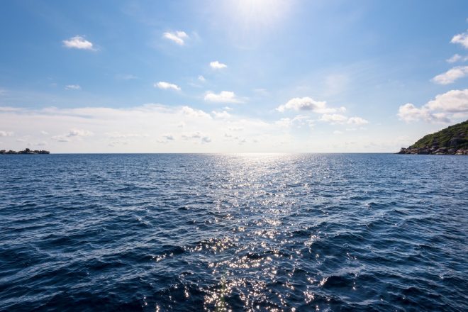 Romanin+tedenski+horoskop+za+%C5%BDenska.si+od+26.+7.+do+1.+8.+2021+%28Foto%3A+Profimedia%29