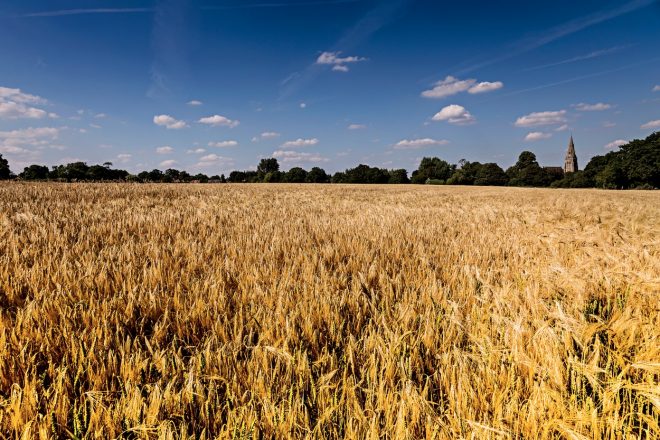 Romanin+tedenski+horoskop+za+%C5%BDenska.si+od+16.+8.+do+22.+8.+2021+%28Foto%3A+Profimedia%29