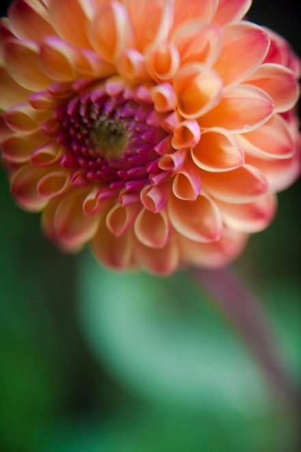 Romanin+tedenski+horoskop+za+%C5%BDenska.si+od+20.+9.+do+26.+9.+2021+%28Foto%3A+Profimedia%29