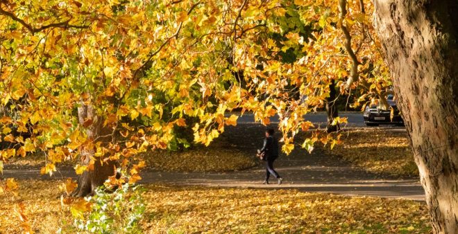 Romanin+tedenski+horoskop+za+%C5%BDenskas.si+od+1.+11.+do+7.+11.+2021+%28Foto%3A+Profimedia%29