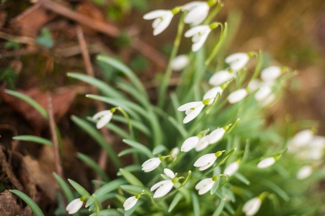 Romanin+tedenski+horoskop+za+%C5%BDenska.si+od+31.+1.+do+6.+2.+2022+%28Foto%3A+Profimedia%29