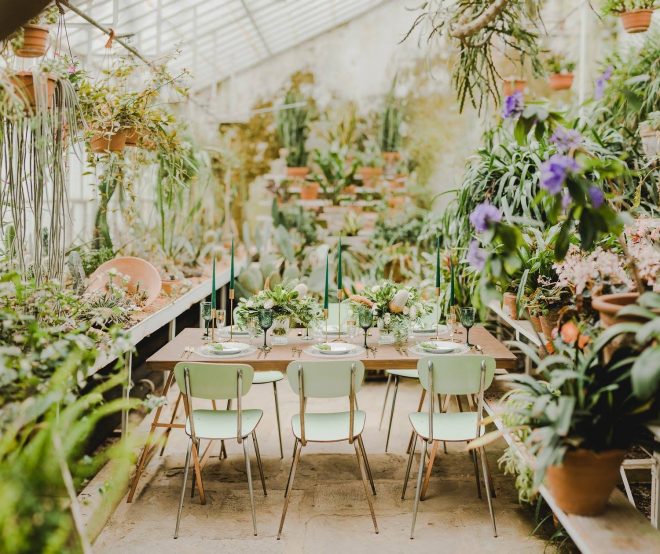 Podpis+pod+fotografijo%3A+Zelenje+je+zakon%21%0ACvetli%C4%8Dna+dekoracija%3A+Sanjski+%C5%A1opek+%2F+Foto%3A+Ilaria%26Andrea%0A