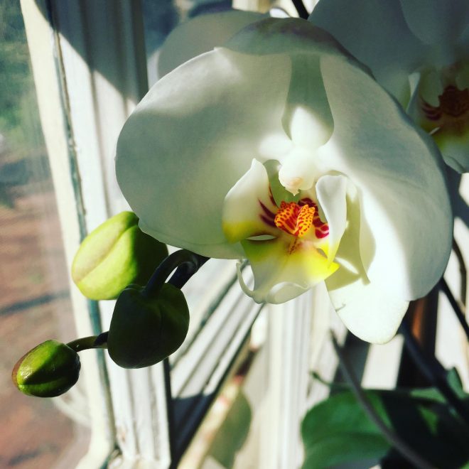 Romanin+tedenski+horoskop+za+%C5%BDenska.si+od+21.+3.+do+27.+3.+2022+%28Foto%3A+Profimedia%29