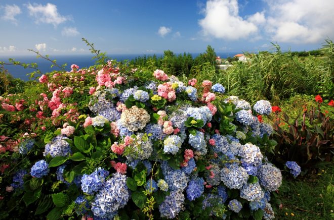 Romanin+mese%C4%8Dni+horoskop+za+maj+2022+%28Foto%3A+Profimedia%29