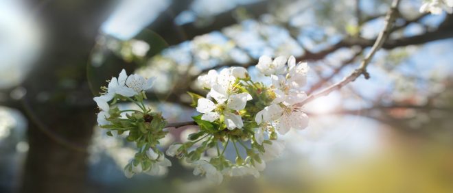 Romanin+tedenski+horoskop+za+%C5%BDenska.si+od+4.+4.+do+10.+4.+2022+%28Foto%3A+Profimedia%29