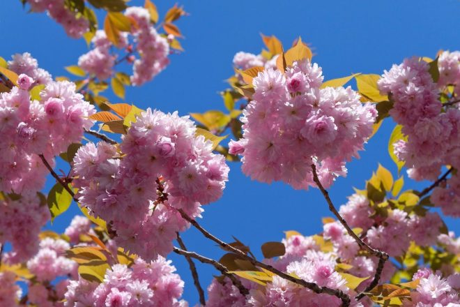 Romanin+tedenski+horoskop+za+%C5%BDenska.si+od+11.+4.+do+17.+4.+2022+%28Foto%3A+Profimedia%29