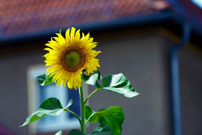 Romanin+tedenski+horoskop+za+%C5%BDenska.si+od+22.+8.+do+28.+8.+2022+%28Foto%3A+Profimedia%29