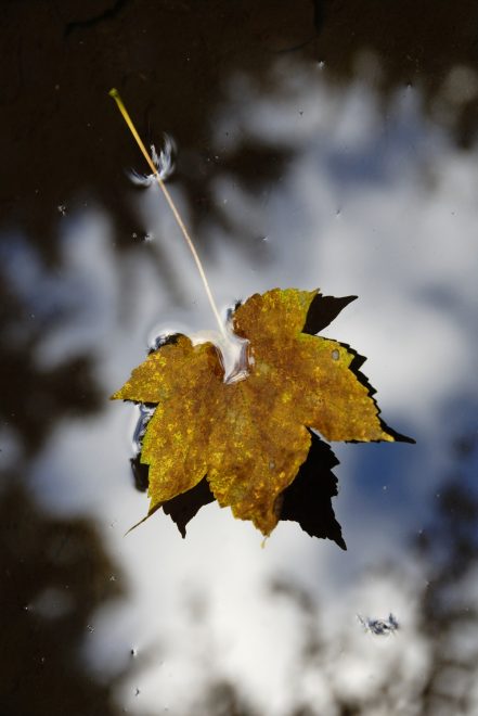 Romanin+tedenski+horoskop+za+%C5%BDenska.si+od+5.+9.+do+11.+9.+2022+%28Foto%3A+Profimedia%29