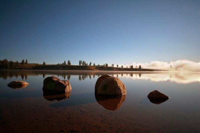 Romanin+tedenski+horoskop+za+%C5%BDenska.si+od+10.+10.+do+16.+10.+2022+%28Foto%3A+Profimedia%29