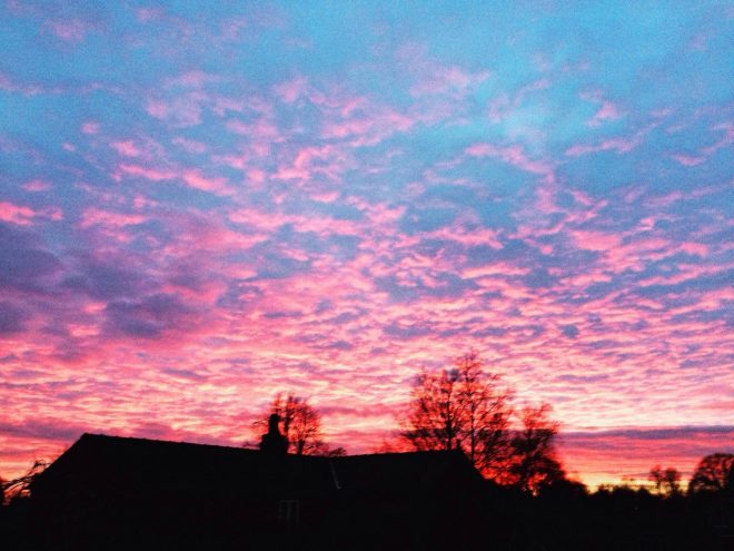 Romanin+tedenski+horoskop+za+%C5%BDenska.si+od+7.+11.+do+13.+11.+2022+%28Foto%3A+Profimedia%29