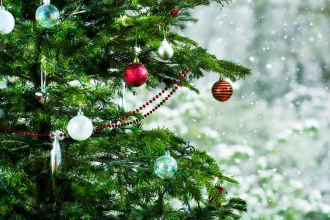 Romanin+tedenski+horoskop+za+%C5%BDenska.si+od+12.+12.+do+18.+12.+2022+%28foto%3A+profimedia%29