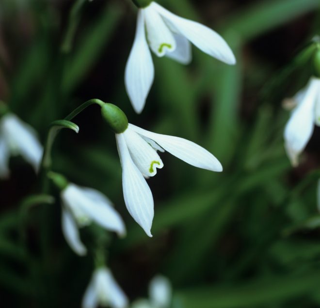 Romanin+tedenski+horoskop+za+%C5%BDenska.si+od+6.+3.+do+12.+3.+2023+%28Foto%3A+Profimedia%29