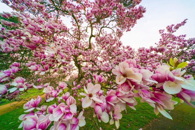 Romanin+tedenski+horoskop+za+%C5%BDenska.si+od+27.+3.+do+2.+4.+2023+%28Foto%3A+Profimedia%29