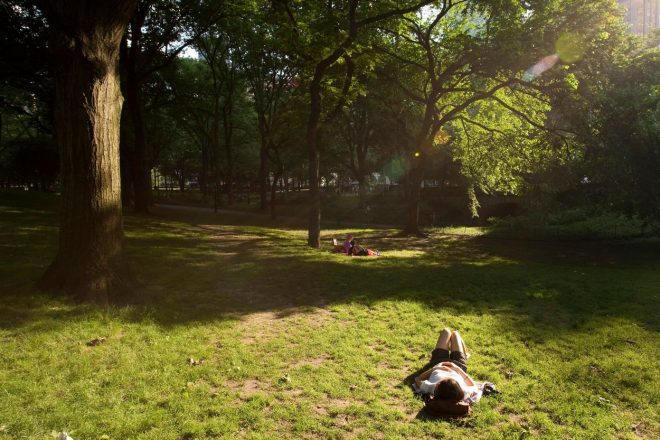 Romanin+tedenski+horoskop+za+%C5%BDenska.si+od+24.+4.+do+30.+4.+2023+%28Foto%3A+Profimedia%29