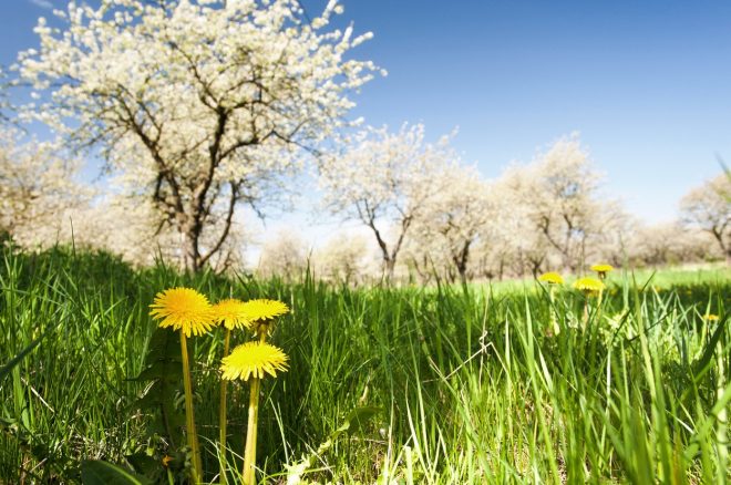 Romanin+mese%C4%8Dni+horoskop+za+maj+2023+%28Foto%3A+Profimedia%29