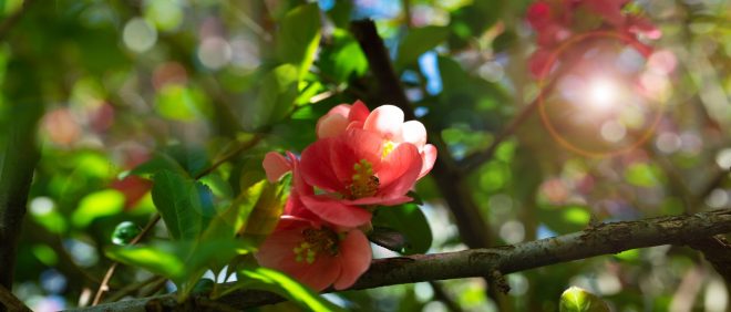 Romanin+tedenski+horoskop+za+%C5%BDenska.si+od+17.+4.+do+23.+4.+2023+%28Foto%3A+Profimedia%29