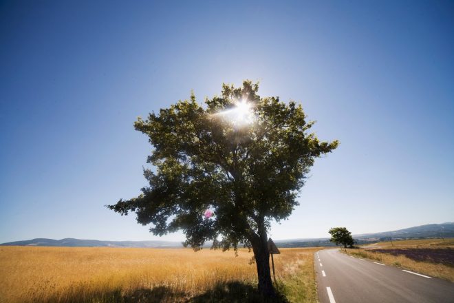 TEDENSKI+HOROSKOP+OD+29.+5.+DO+4.+6.+2023%0A%28Foto%3A+Profimedia%29