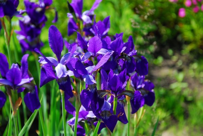 Romanin+tedenski+horoskop+za+%C5%BDenska.si+od+8.+5.+do+14.+5.+2023+%28Foto%3A+Profimedia%29