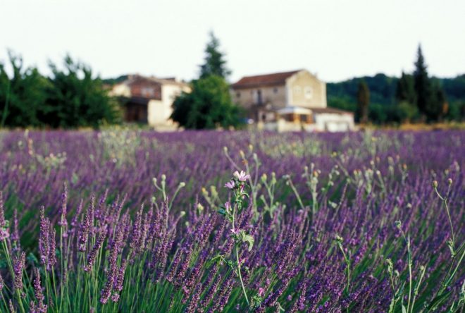 Romanin+tedenski+horoskop+za+%C5%BDenska.si+od+10.+7.+do+16.+7.+2023+%28Foto%3A+Profimedia%29