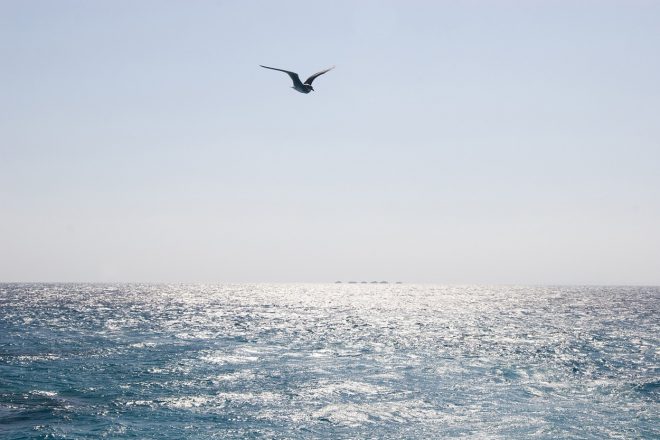 Romanin+tedenski+horoskop+za+%C5%BDenska.si+od+24.+7.+do+30.+7.+2023+%28Foto%3A+Profimedia%29