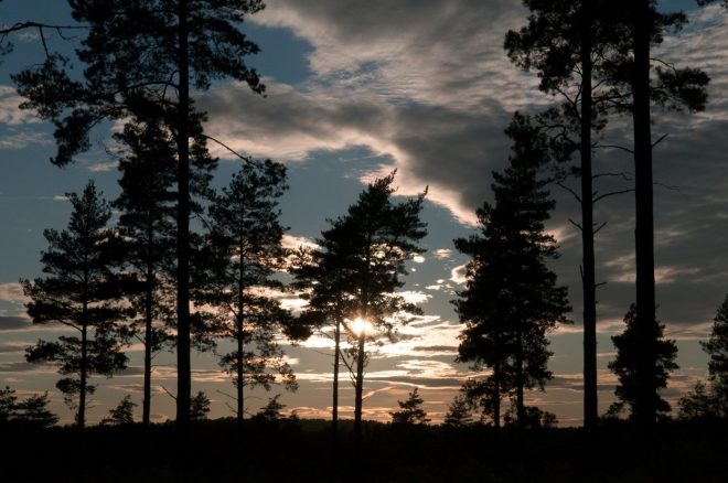 Romanin+tedenski+horoskop+za+%C5%BDenska.si+od+7.+8.+do+13.+8.+2023+%28Foto%3A+Profimedia%29