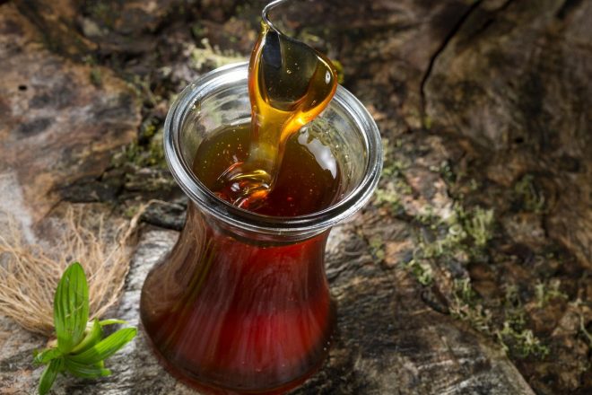 Oksimel+kot+eliksir+zdravja+%28Foto%3A+Profimedia%29